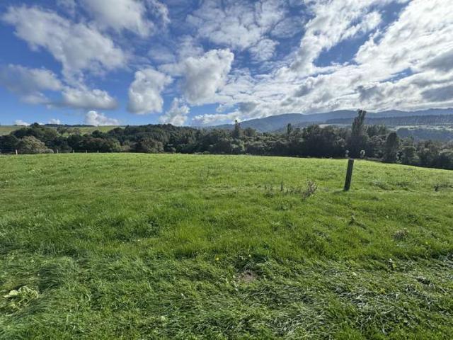 Property for sale in Te Awamutu, Waikato