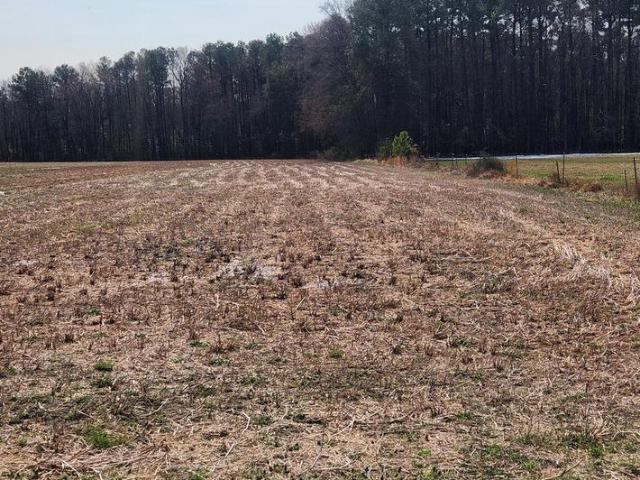 Land for sale in Delaware