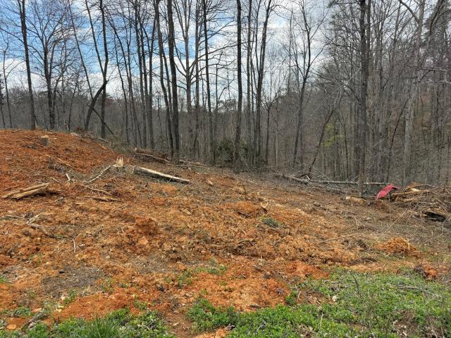 Land for sale in Monticello, Kentucky
