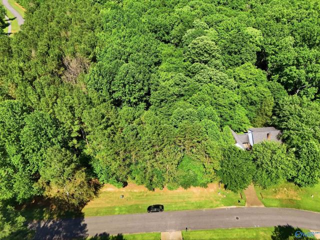Land for sale in Elkmont, Alabama