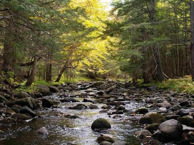 Land for sale in Guinea, Nova Scotia