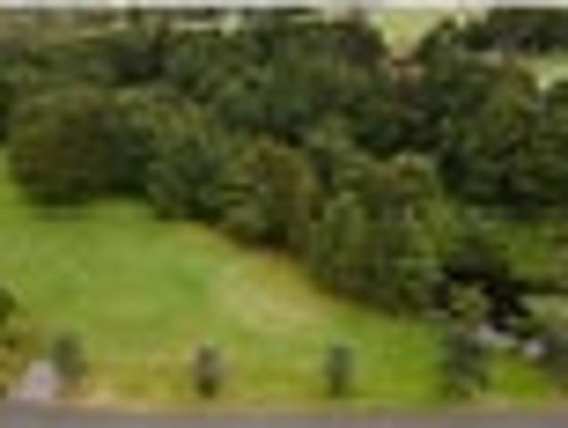 Land for sale in Karetu, Northland