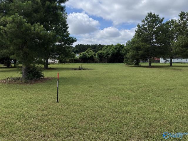 Land for sale in Centre, Alabama