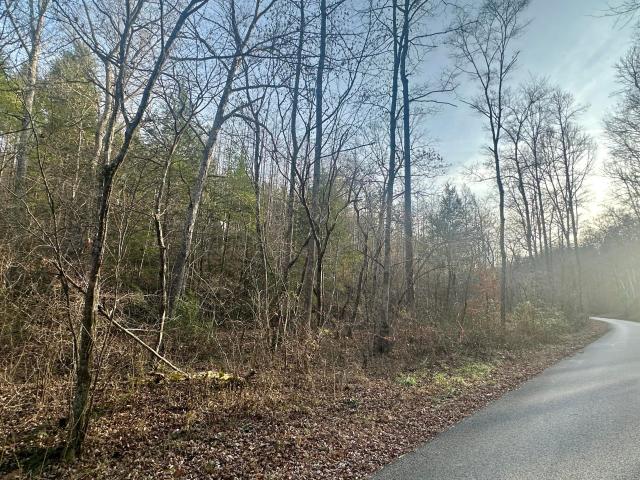 Land for sale in Laurel, Kentucky