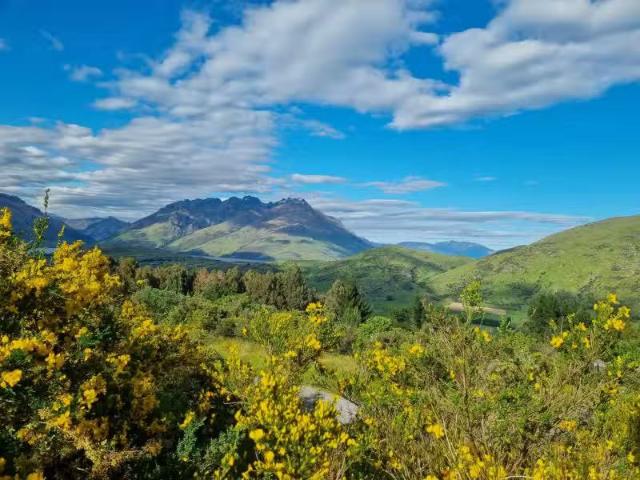 House for sale in Otakou