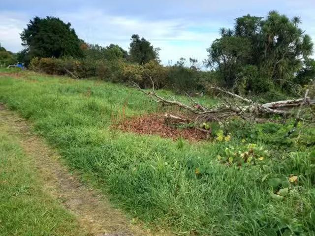 House for sale in Hector, West Coast