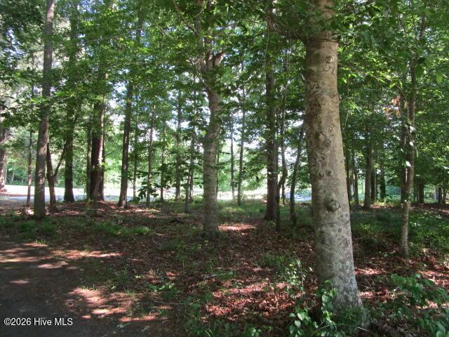 Land for sale in Hertford, North Carolina