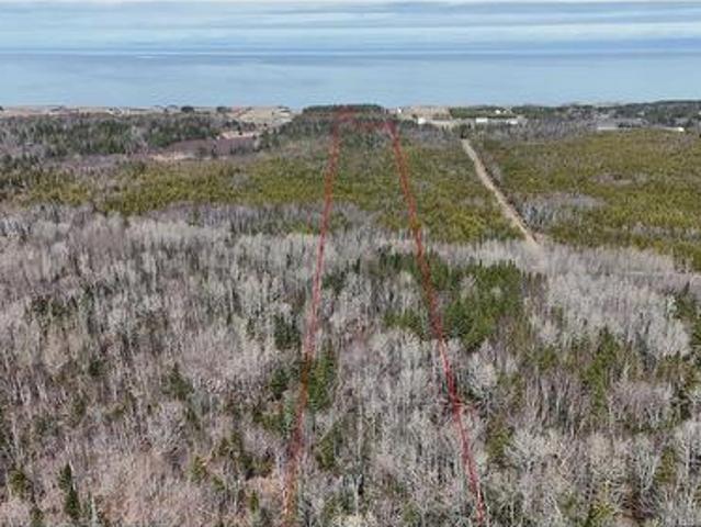 Land for sale in Pokeshaw, New Brunswick