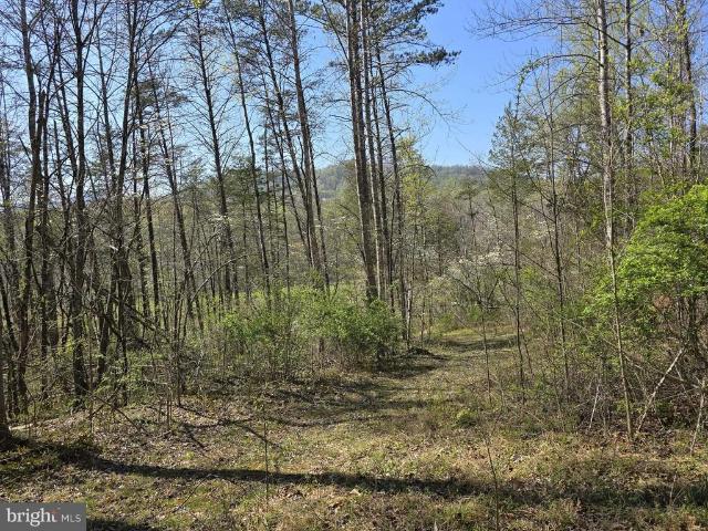 Land for sale in Virginia