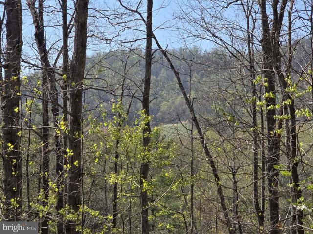 Land for sale in Virginia