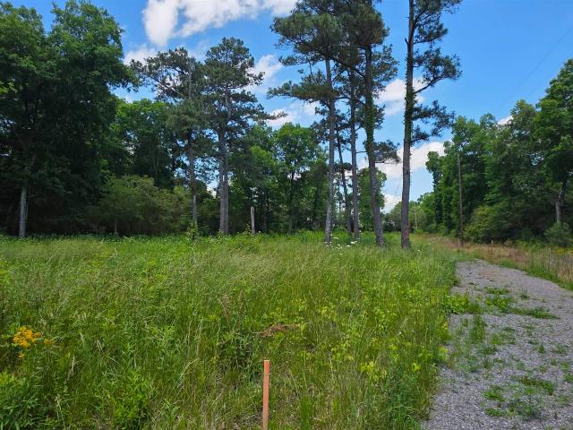 Land for sale in Rainsville, DeKalb County