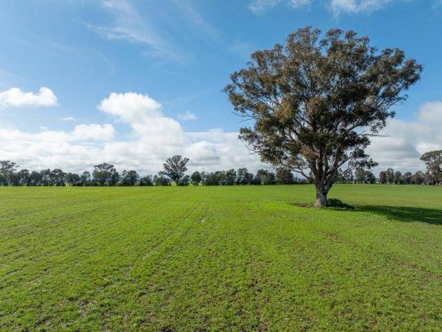 Acreage for sale in Cowra, Cowra Shire Council