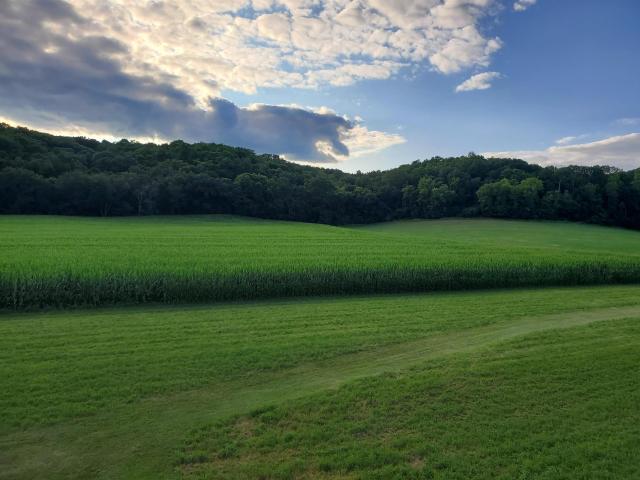 Land for sale in Mazomanie, Wisconsin