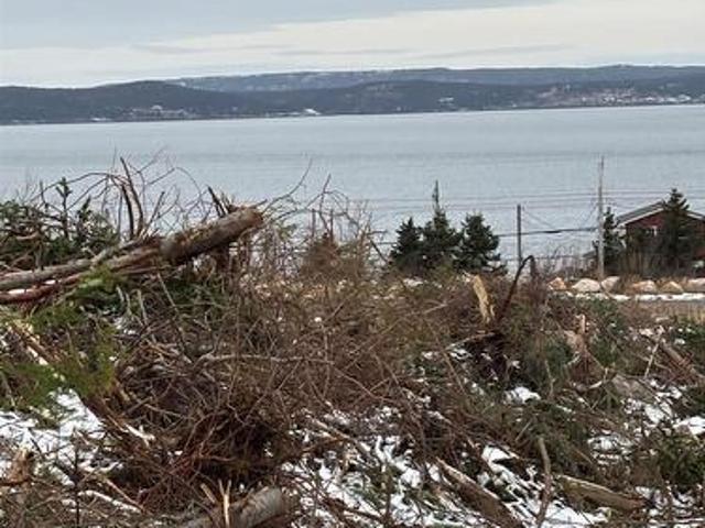 Land for sale in Manuels, Newfoundland And Labrador