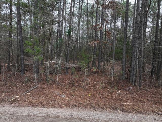 House for sale in Hamilton, Georgia