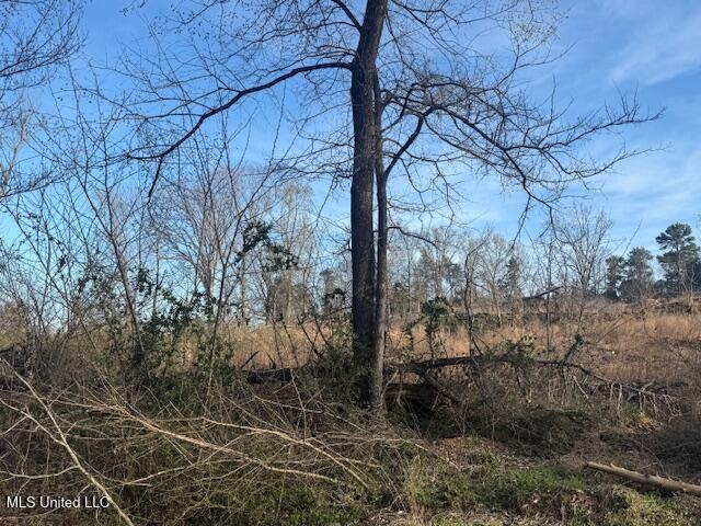 Land for sale in Hernando, DeSoto County
