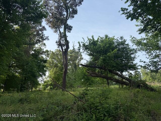 Land for sale in Hernando, Mississippi