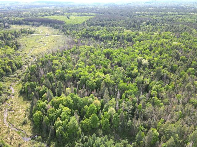 Land for sale in Sawyer, Wisconsin