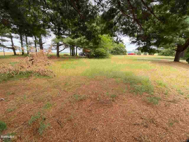 Land for sale in Thomson, Illinois