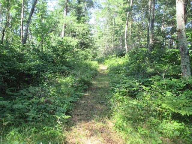 Land for sale in Couderay