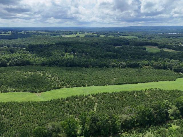 Land for sale in Bowdon, Georgia