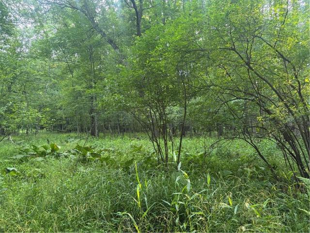 Property for sale in North Washington, Pennsylvania