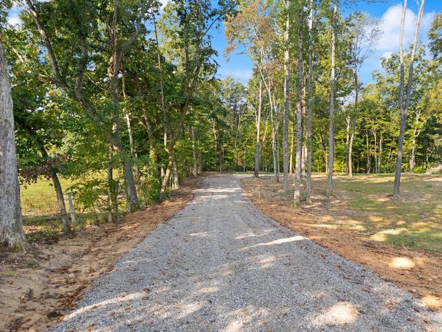 Land for sale in Albany, Kentucky