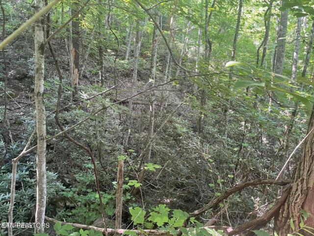 Land for sale in Sevierville, East Tennessee