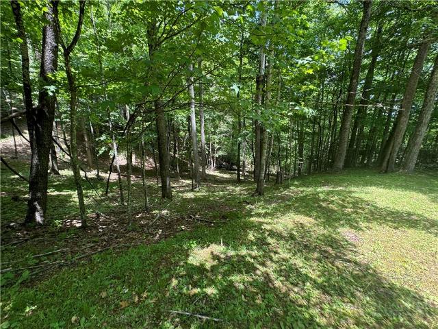 Land for sale in Yancey, North Carolina