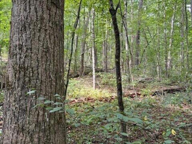 Land for sale in Tennessee