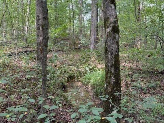 Land for sale in Sanders Crossing, Tracy City