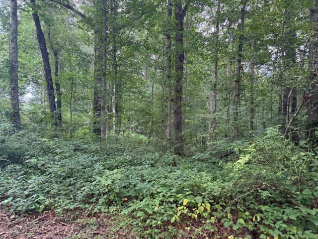 Land for sale in Tennessee