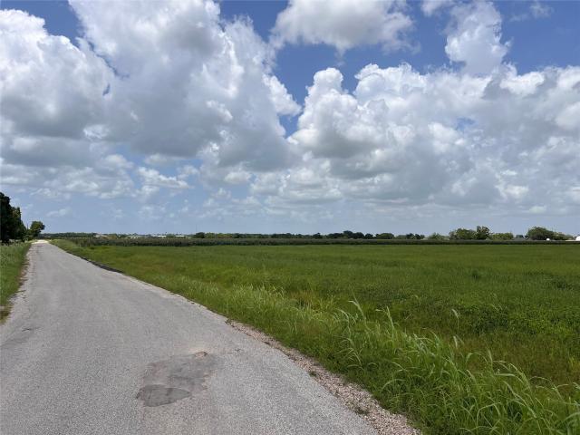 Land for sale in Wallis, Texas