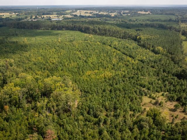 Land for sale in Thomson, McDuffie County