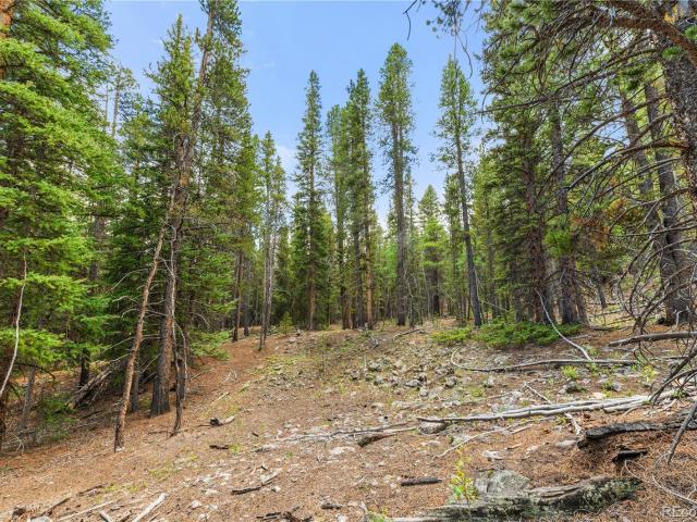Land for sale in Fairplay, Colorado