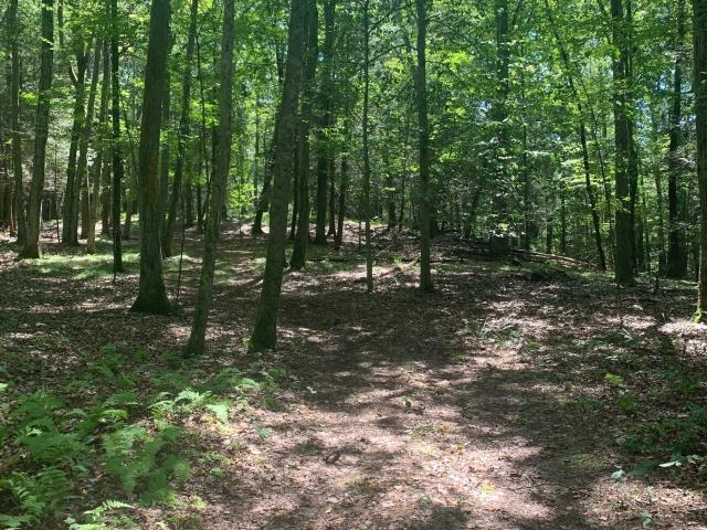 Land for sale in Roxbury, Connecticut