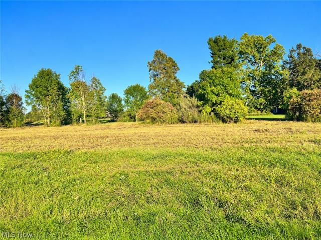 Land for sale in Medina, Medina County
