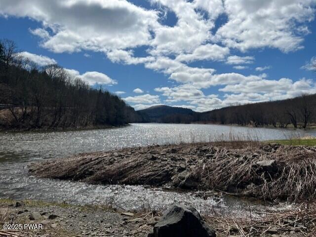 Land for sale in East Branch, New York