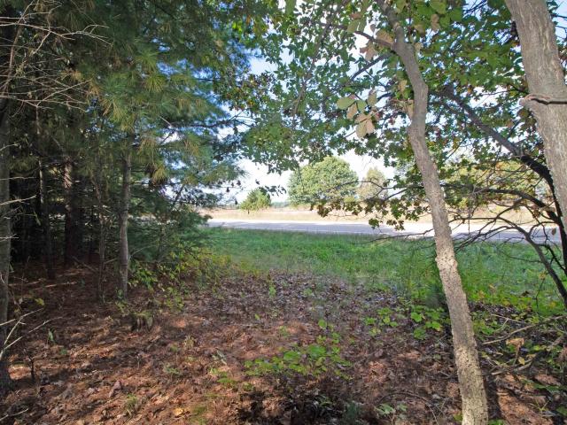 Land for sale in Town of Spring Green, Sauk County