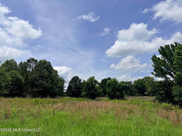 Land for sale in Clinton, Mississippi