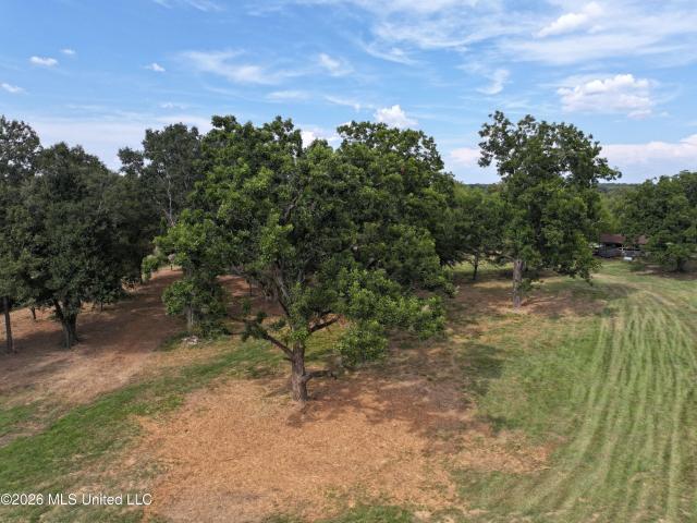 Land for sale in Clinton, Mississippi