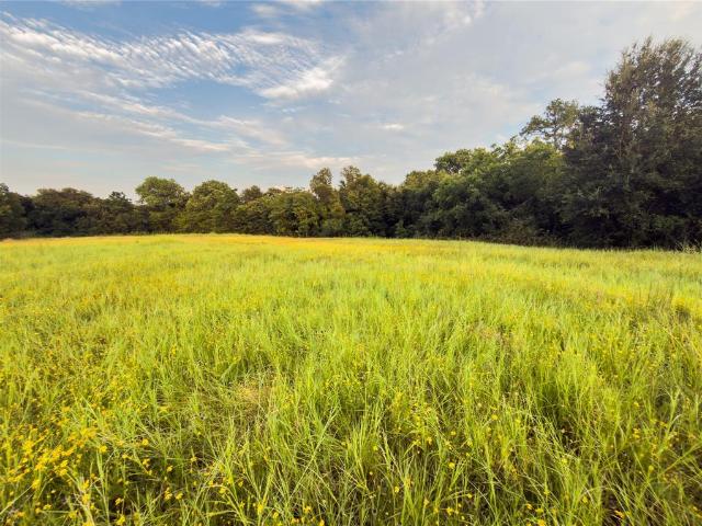 Land for sale in Bellmead, McLennan County