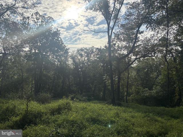 Land for sale in Shady Grove, Myersville