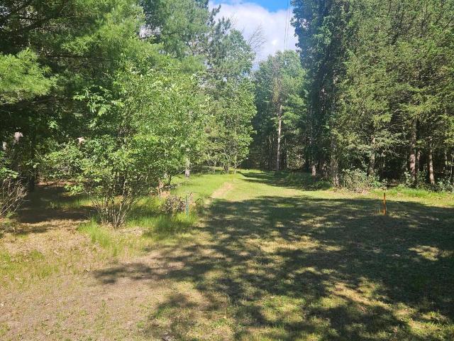 Land for sale in Montello, Wisconsin