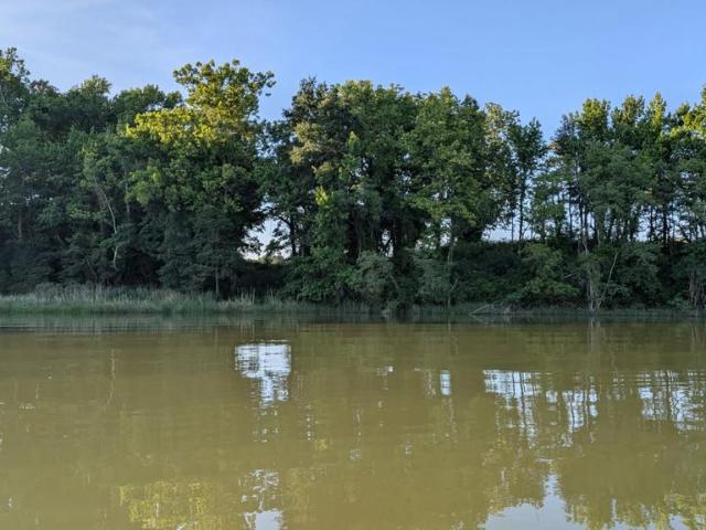 Land for sale in Virginia