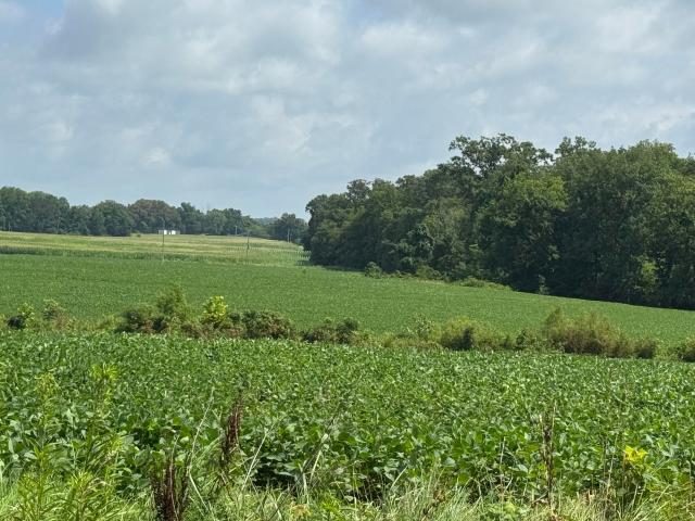 Land for sale in Hopkinsville, Kentucky