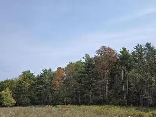 House for sale in Lower Branch, Nova Scotia
