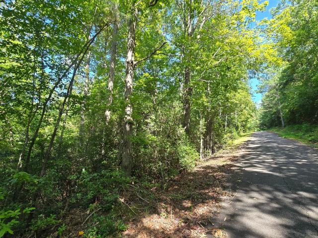 Land for sale in Macedonia, Hiawassee