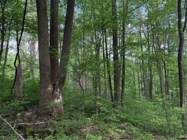 Farm for sale in Normalville, Pennsylvania