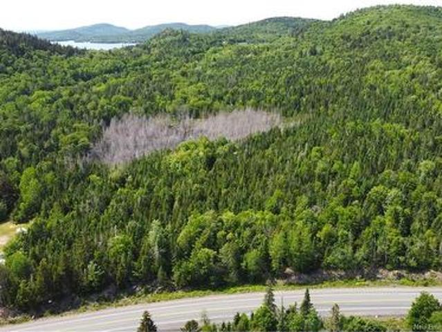 Land for sale in Charlotte, New Brunswick
